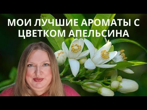 Видео: ТОП АРОМАТОВ С ФЛЕРДОНРАНЖЕМ ( ЦВЕТКОМ АПЕЛЬСИНА)!