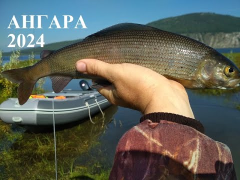 Видео: Рыбалка на Ангаре - 2024