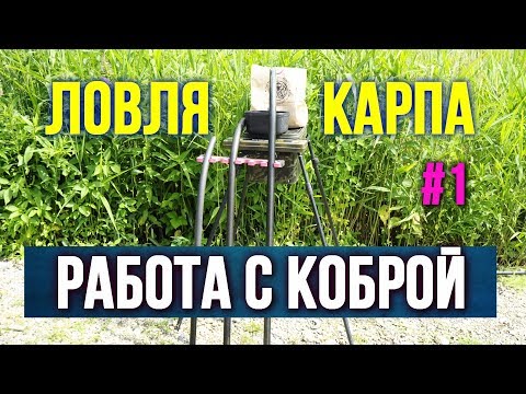 Видео: Как работать с коброй при ловле карпа Первая серия https://youtu.be/SuVgErFCY4c