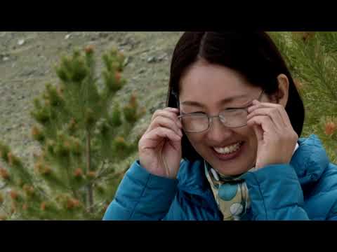 Видео: Дэлхийн Монгол Хүн- Ц.Оюунгэрэл (Oyungerel Tsedevdamba)