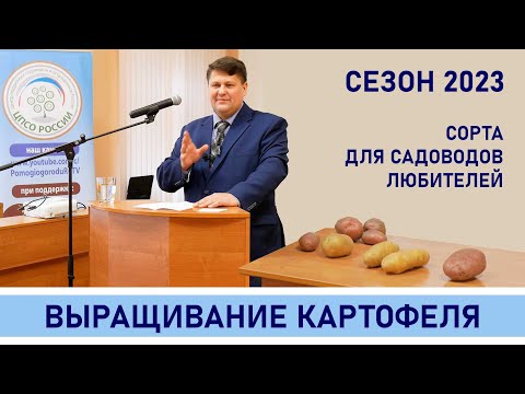 Видео: Сорта картофеля. Какие сорта картофеля выбрать весной 2023 года