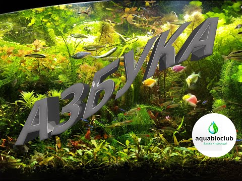 Видео: Азбука #аквариумистики. Все об #аквариуме и его #содержании.