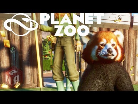 Видео: Planet Zoo - Малые панды! #8