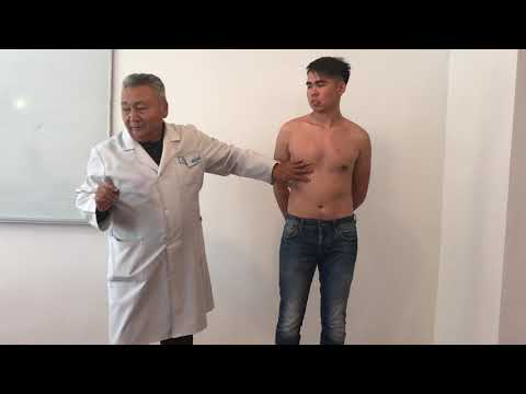 Видео: Жүрек және ірі тамырларды қарау, жүрек пальпациясы, перкуссиясы