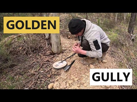Видео: Эта область полна золота