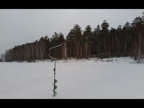 Видео: Белоярское водохранилище, рыбалка 25.11.23. Окунь на "люстру"