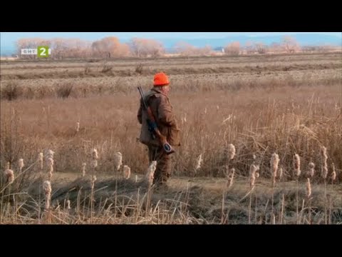 Видео: Хайка за хищници край Съединение, Време за губене – 08.04.2023 по БНТ