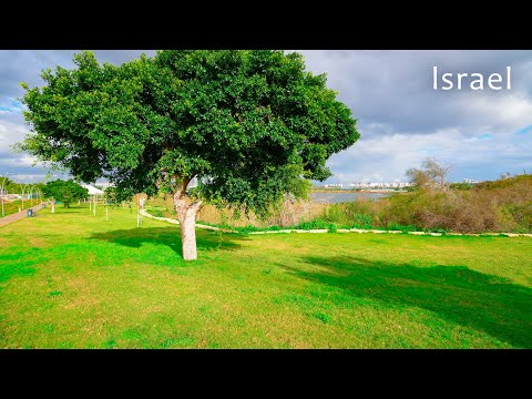 Видео: Израиль. Озеро Ришон ле-Цион. Расслабляющая прогулка под пение птиц.