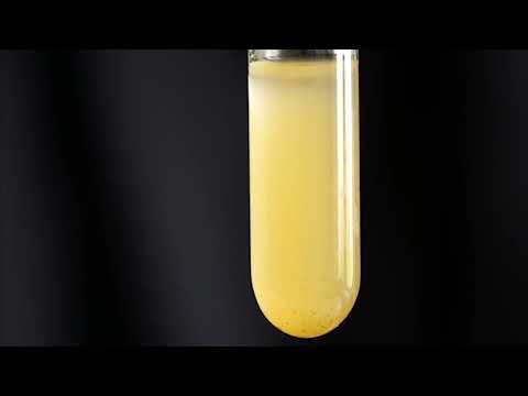 Видео: Анилин жана анилиндин сульфаты