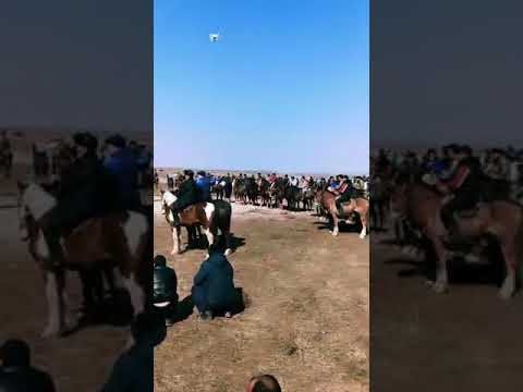 Видео: Кокпар ақтас