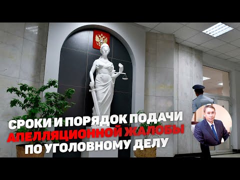 Видео: Порядок и сроки подачи апелляционной жалобы по уголовному делу