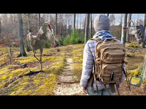 Видео: 1 ДЕНЬ В ЛЕСУ - С ПАЙКОМ АРМИИ НОРВЕГИИ