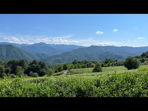 Видео: Красота в 15 минутах от центра Сочи