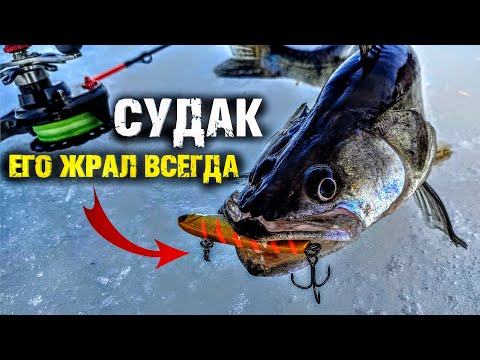 Видео: Этот раттлин был лучшим! Практик 8, судак, закрытие сезона