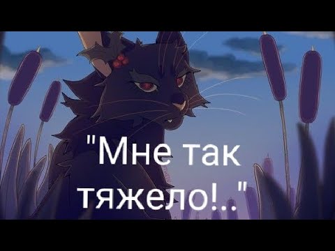 Видео: Коты воители|| Остролистая|| {«Мне так тяжело»} #warriorcats #котывоители #клип #остролистая