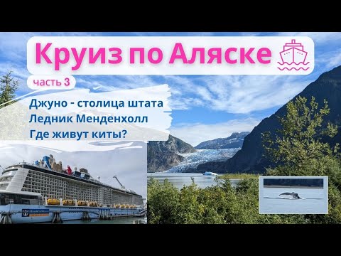 Видео: Круиз по Аляске, США. Джуно- столица штата. Ледники. Где живут киты? |Juneau Alaska, Royal Caribbean