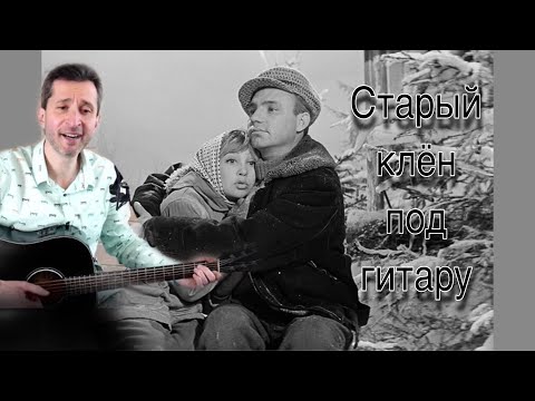 Видео: Старый клен на гитаре | старые песни о главном #Bednoff