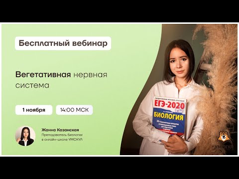 Видео: Вегетативная нервная система | Биология ЕГЭ | Умскул