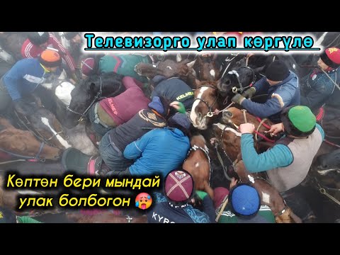 Видео: Өтө зор улак болду. Элбурстун улагы 2 - бөлүм.