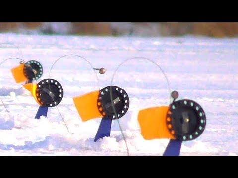 Видео: РЫБАЛКА НА ЖЕРЛИЦЫ.ГДЕ ЛУЧШЕ НА МЕЛКОВОДЬЕ ИЛИ НА ГЛУБИНЕ?