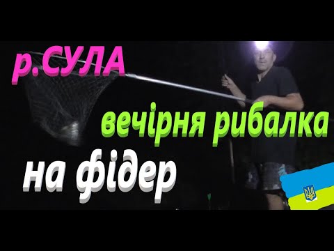 Видео: #СУЛА# Вечірній ЛЯЩ#РибачуЯкУмію