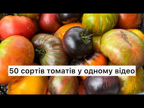 Видео: 50 сортів томатів у одному відео🍅🍅🍅 Огляд на 20 липня