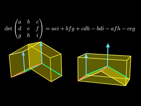 Видео: Почему определитель именно такой?