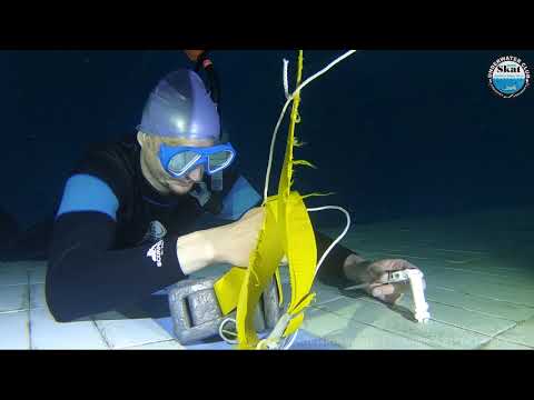 Видео: 2024_06_03 - Экзамен по курсу подводной охоты группы 432