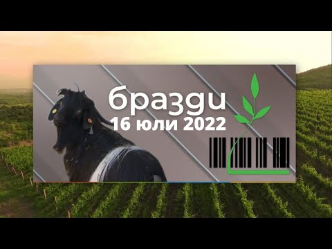 Видео: Избрано от "Бразди": Селски туризъм в сърцето на Деветашкото плато - "Бразди", 16.07.2022