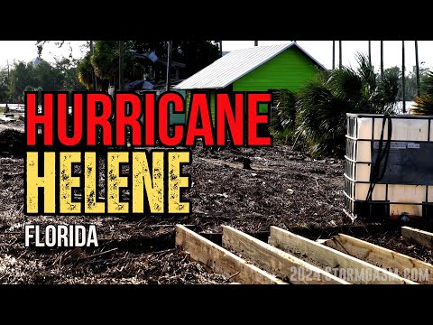 Видео: Ураган Хелен Стейнхэтчи, Флорида