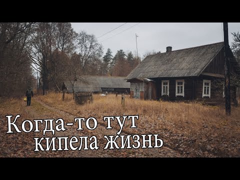 Видео: Беларусь . Заброшенная деревня в лесу. Тут можно жить.  Дикий край.  Поход