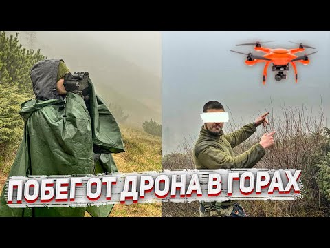 Видео: #240 Видели: как волк бежал за оленем, медведя, подземный секрет а так же мертвого оленя.