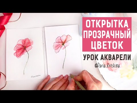 Видео: Как нарисовать прозрачные цветы. Урок акварели