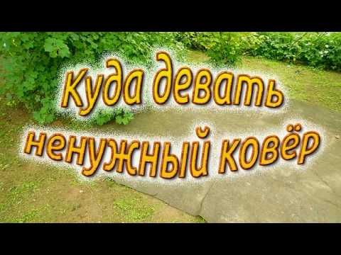 Видео: Куда девать ненужный ковёр. Дорожки между грядок,