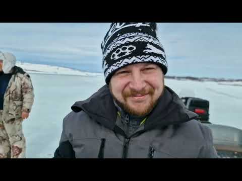 Видео: зимняя рыбалка в тундре Мурманской области