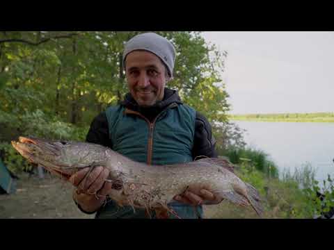 Видео: Рыбалка на Волге под Сызранью 2021