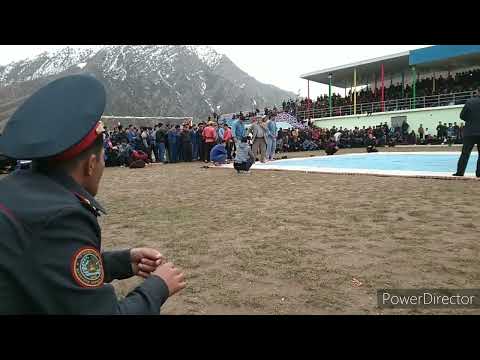 Видео: Гуштини калон дар нохяи сангвор собик тавилдара