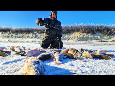 Видео: РВУТСЯ ЛЕСКИ! ГНУТСЯ БАГРЫ! ПЕРВЫЙ ЛЁД ЯКУТИИ! ЗИМНЯЯ РЫБАЛКА