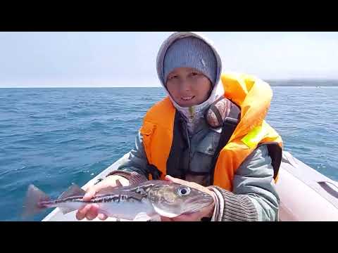 Видео: Не рыбалка, а одно удовольствие..