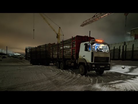 Видео: Два дня из жизни водителя лесовоза. #маз