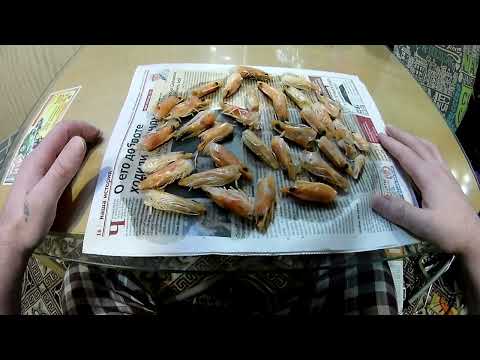 Видео: Мука из креветок для рыбалки.