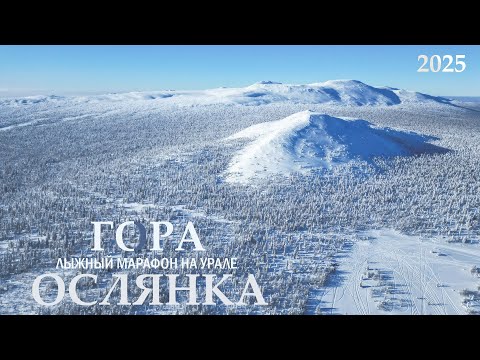 Видео: Лыжный марафон Гора Ослянка