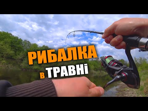 Видео: Річка Псел.Рибалка на СПІНІНГ з берега 2025