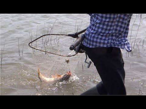 Видео: ЛОВЛЯ САЗАНА - РЫБАЛКА НА КВОК - РОЗЫГРЫШ МОТОРА СУЗУКИ 9.9(15)