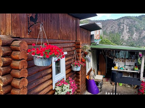 Видео: ОБЗОР ДАЧИ ЗА 400т.р | 4 СОТКИ САД ОГОРОД | ДОМ БАНЯ