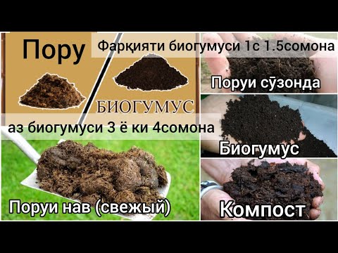 Видео: Сабаби фарқияти нархи биогумус. Фарқияти биогумусе ки аз поруи нав ва ё ки  қӯҳна тайёр шудааст.