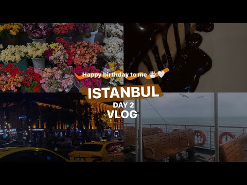 Видео: VLOG/ ПРАЗДНУЮ ДР ОДНА В ТУРЦИИ / СТАМБУЛ