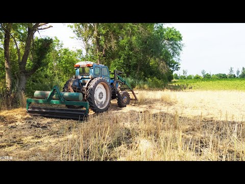Видео: 👍 ПРОВОКАТОР РІПАКУ! Подрібнюємо стебла та провокуємо падалицю!
