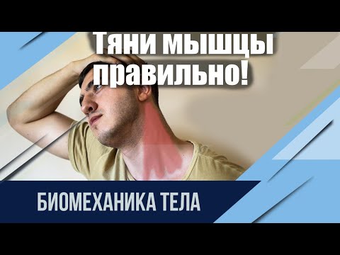 Видео: Не спеши тянуть мышцы. Узнай принцип работы