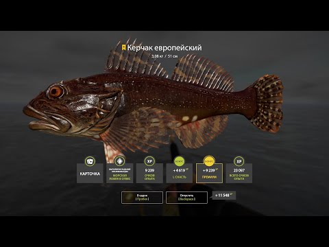 Видео: Фарм серебра на Буффало и Восточный Осётр. Русская рыбалка 4. РР 4.